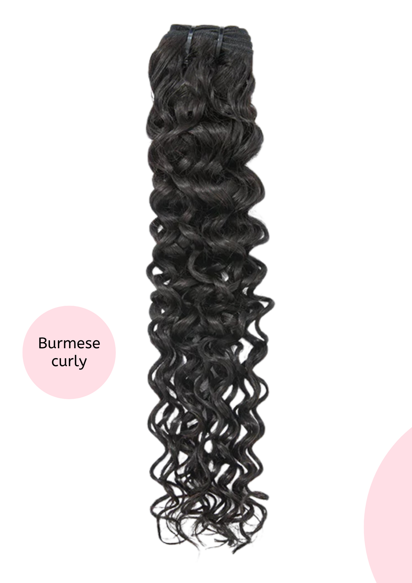 Raw Collection | BURMESE CURLY